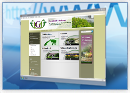Homepage Professional